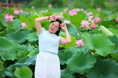 愿做如莲的女子,与你静守光阴的恬淡