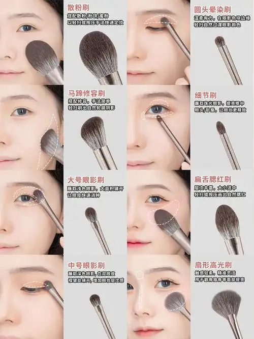 新手教程一篇看懂全脸上妆区域含化妆手法