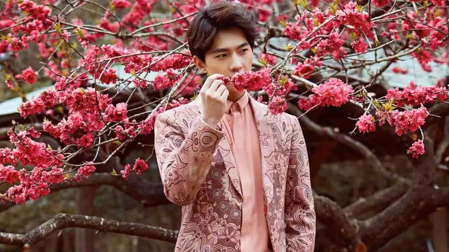 明星风尚 杨洋壁纸【1】(明星静态壁纸) - 静态壁纸下载 - 元气壁纸