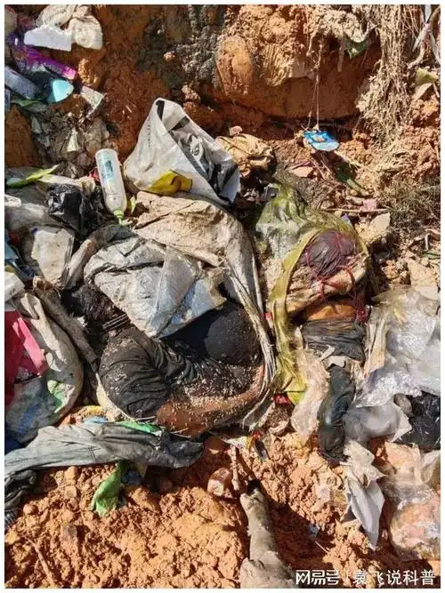 缅甸木姐金山角一垃圾堆惊现三具高度腐烂尸体双手被反绑