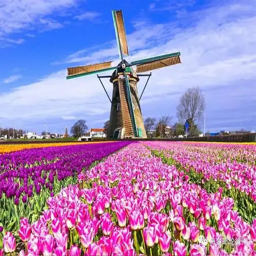 欢迎来电易世景观室内风车摆件荷兰风车模型广场防腐木质摆件