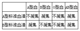 混合时发生了凝集而与b型标准血清混合时不发生凝集此人为何种血型