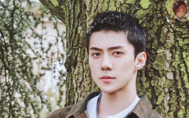 吴世勋你的大佬男友世勋以上线