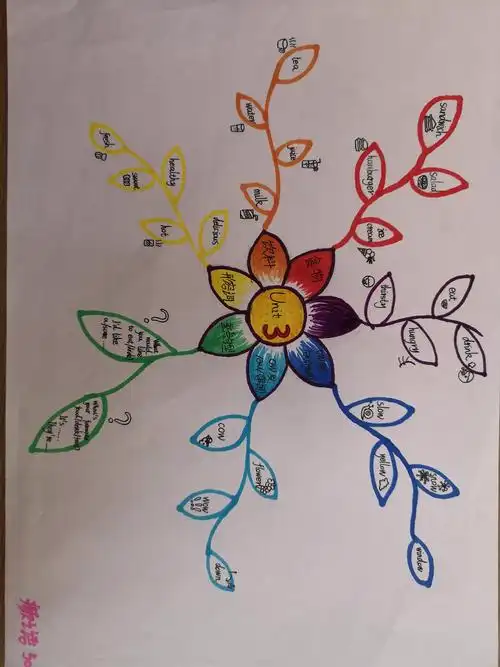 五年级思维导图欣赏