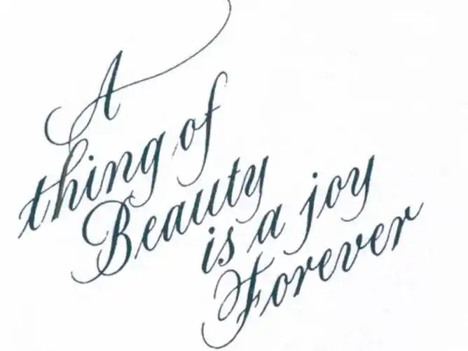 copperplate 花体英文书法