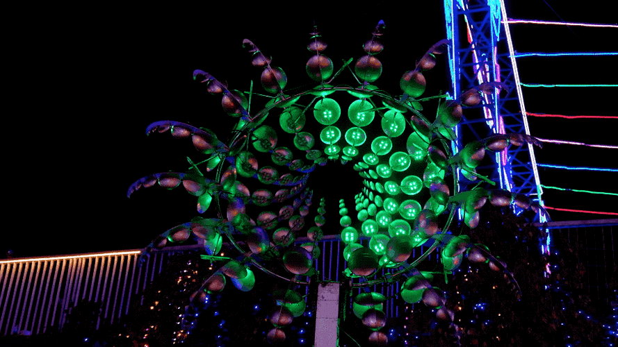 是的,走到这里,我只期待着看看最后的生命之树