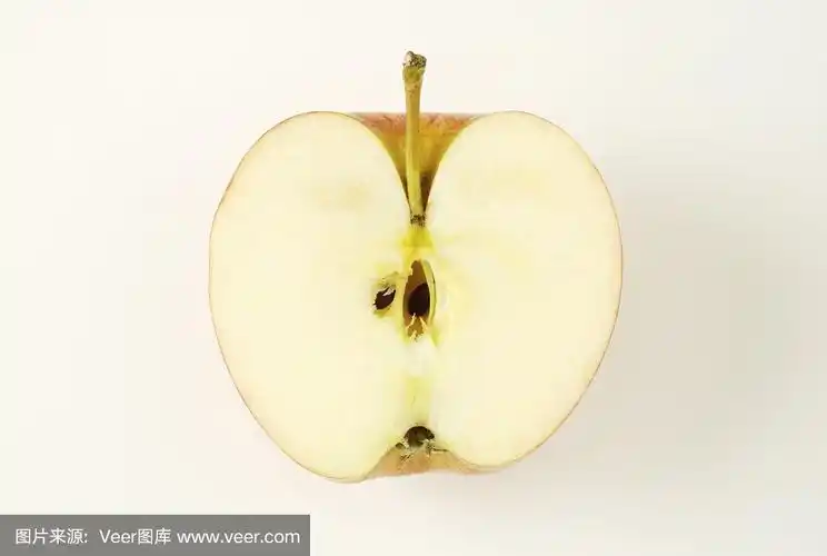 苹果的横截面