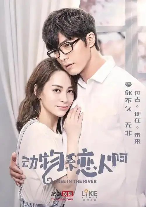 搜狐视频播放量破亿的25部好剧张予曦徐开骋各占了3部