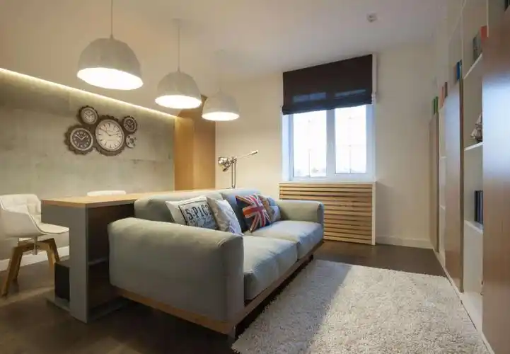 现代简约风格小户型50平房屋客厅装修效果图