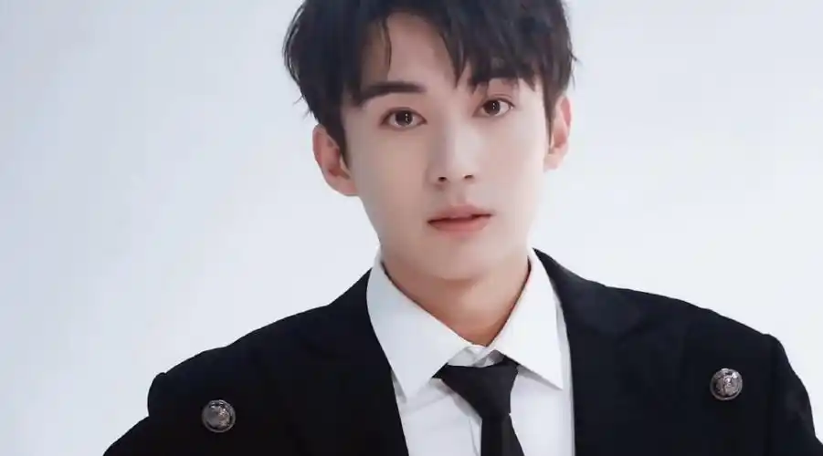 鹅蛋脸男明星代表(鹅蛋脸的中国男明星有哪些)-1