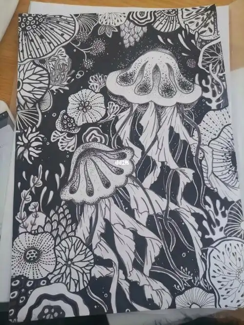 海底世界线描装饰临摹 自由发挥