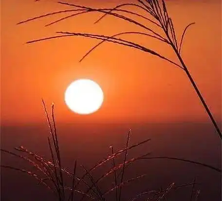 青山依旧在几度夕阳红美醉了