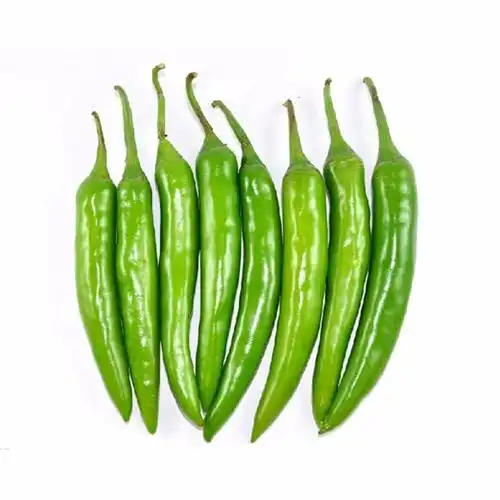 【小稳种养业】辣椒 青椒 长辣椒 新鲜蔬菜 现摘现卖绿色农家种植蔬菜