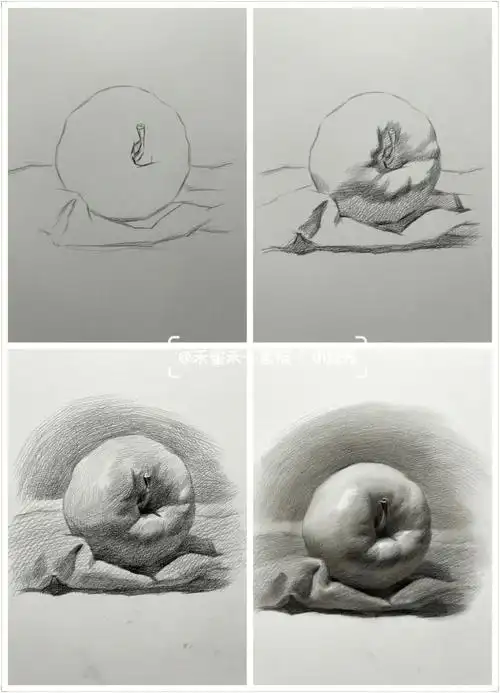 素描必学基础静物苹果过程图