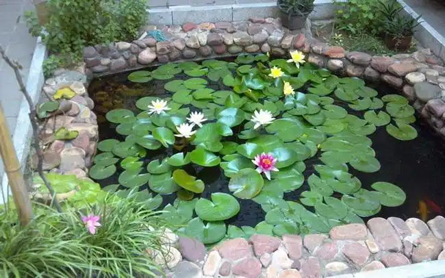 别墅院子假山/春晓庭院sell_水池