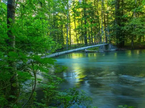 首页 自然和风景 森林和树木 河,林,桥,夏天,自然风光 壁纸 / 1600x