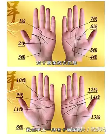 生命线三线可以看出哪个年龄段身体会有大病