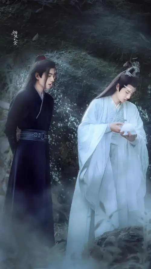 《陈情令》魏无羡&蓝忘机 - 堆糖,美图壁纸兴趣社区