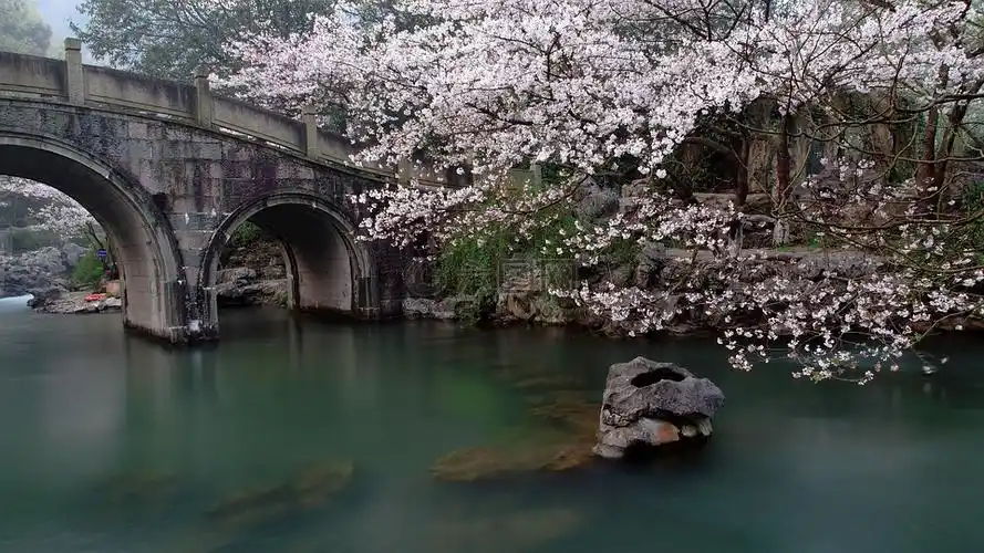 杭州西湖太子湾公园小桥流水