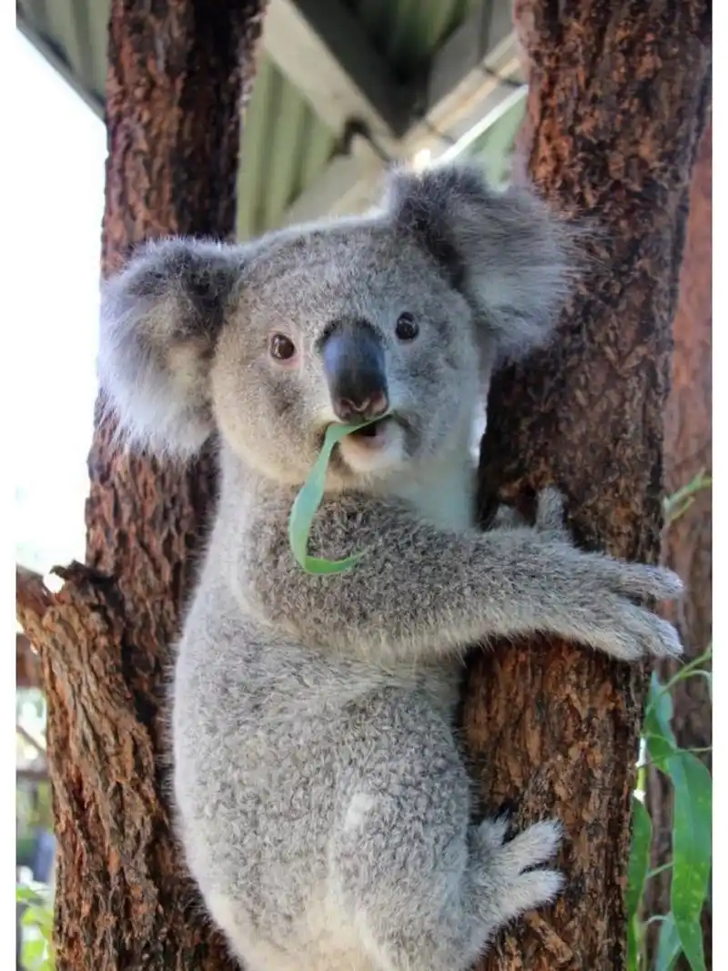 960_1280竖版 竖屏