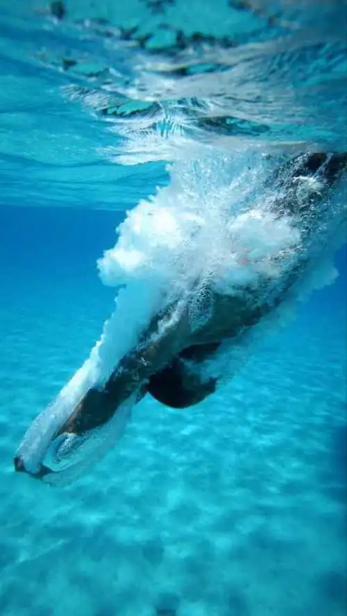 iphone5壁纸 欧美 游泳 海 蓝色 美丽 水花 白色 海底 欧美风