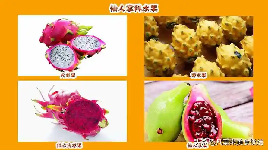 水果有什么1种水果名称大全