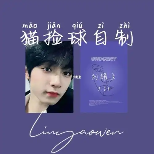 自制刘耀文小卡