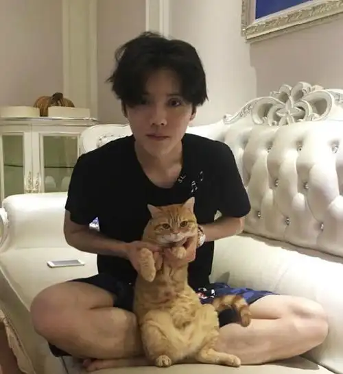 鹿晗家的豪宅图片大全(千万片酬的鹿晗) - 赤虎壹号