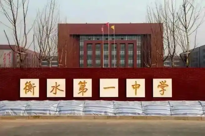 (固安小初高择校)///衡水武邑精英小学///,衡水武邑宏达 - 抖音