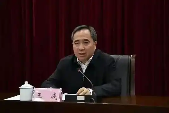 王成跨省一年后转岗浙江曾是湖南最年轻省委常委组织部长