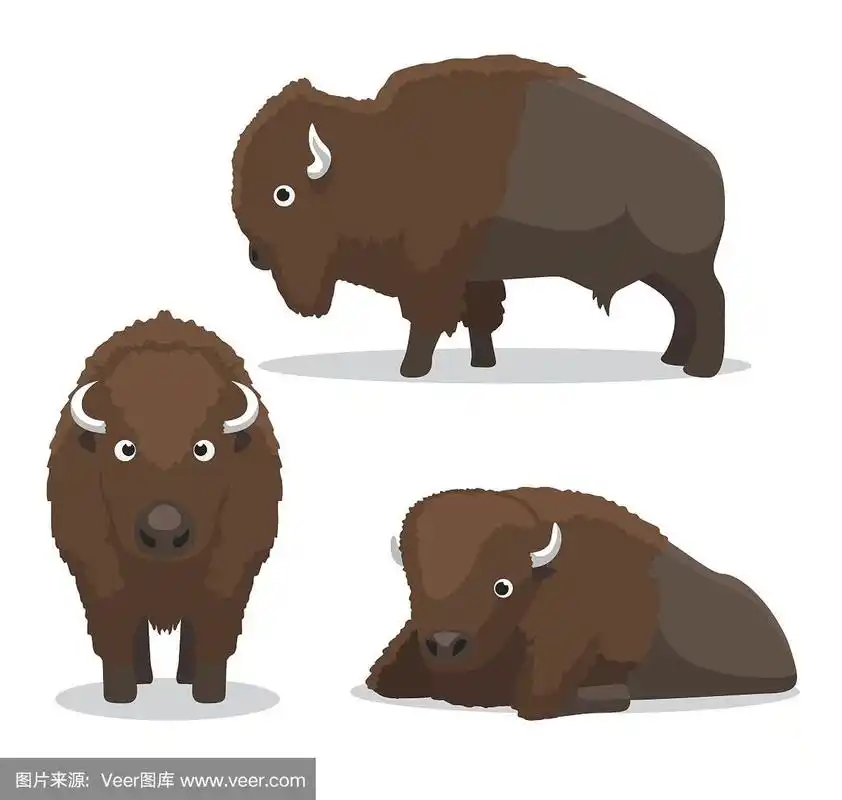 可爱的野牛卡通矢量插图