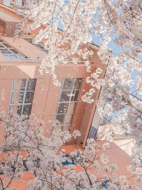 求 ipad高清壁纸#ipad壁纸  #高清壁纸