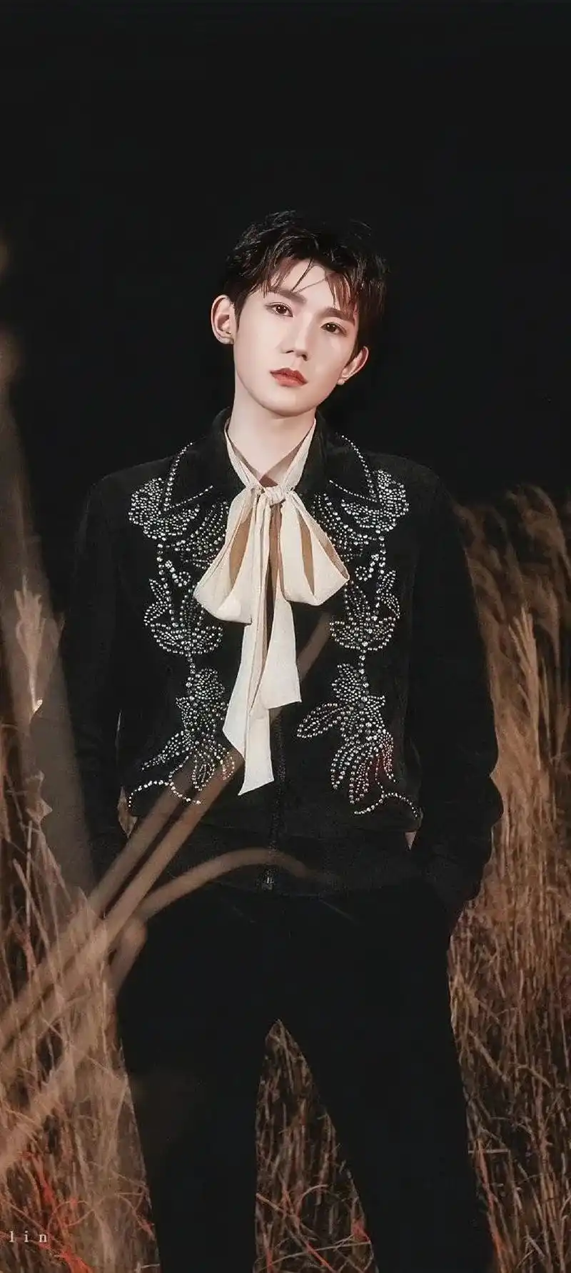 王源 #向全世界安利 #灿烂灿烂 #盛世美颜 #壁纸 美貌 - 抖音