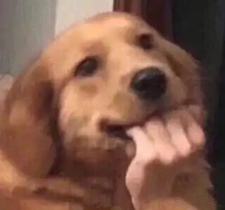 有美女二胡卵子表情第二波搞笑二胡卵子表情