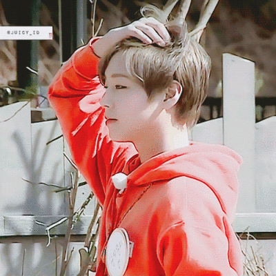 朴志训落泪动图