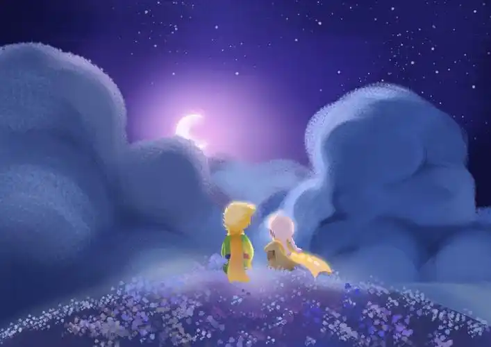 光遇小王子季太可了