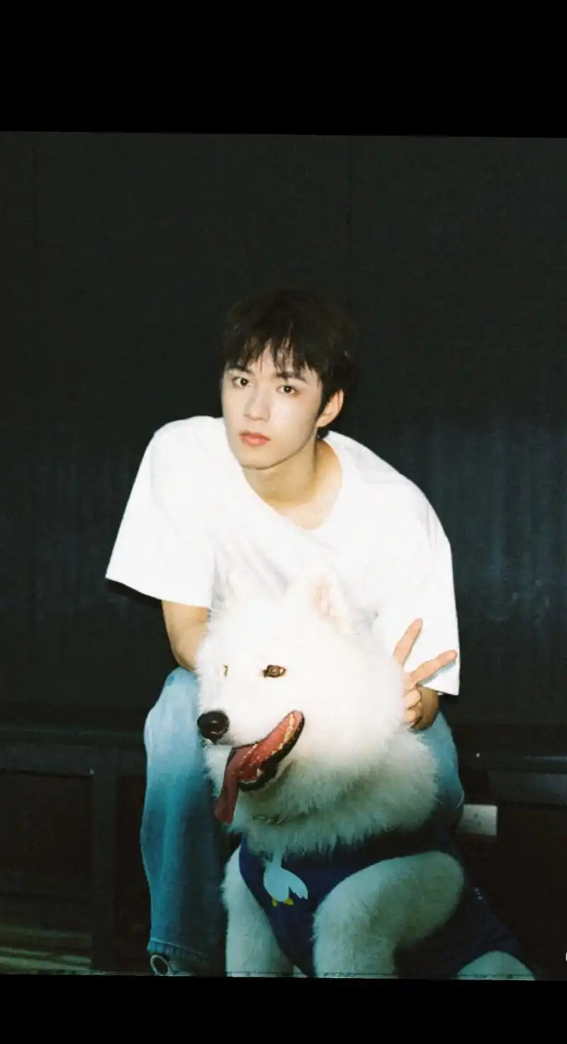 两只狗狗合照 真的帅惨了#刘耀文 #小狗 - 抖音