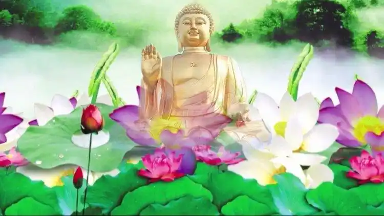 心有莲花 与佛结缘|一心向善,祈祷家人健康平安,阿弥陀佛