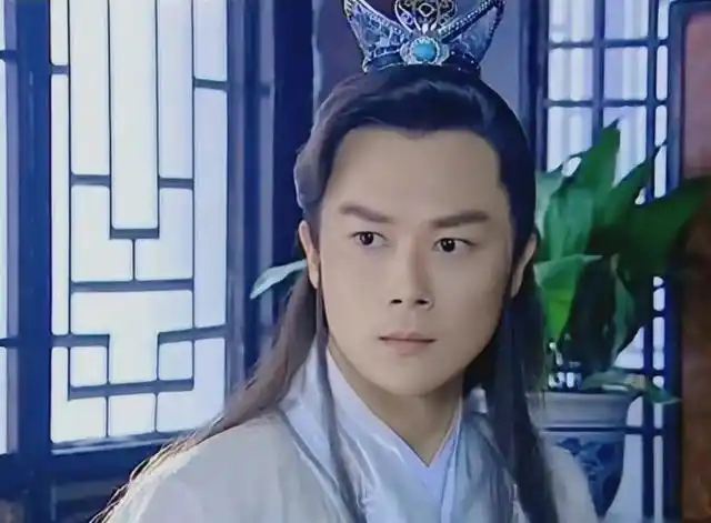 男星王灿现照(反派专业户王灿)(21)