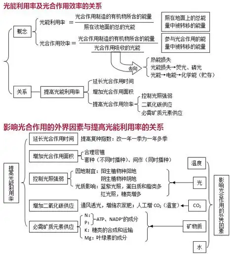 高中生物必修一光合作用知识点