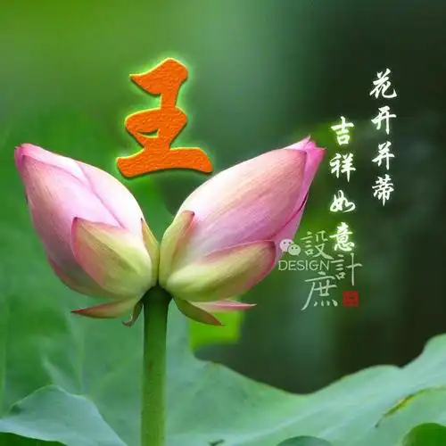 微信头像:花开并蒂,吉祥如意