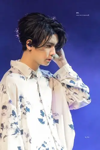 杨宇腾 - 堆糖,美图壁纸兴趣社区