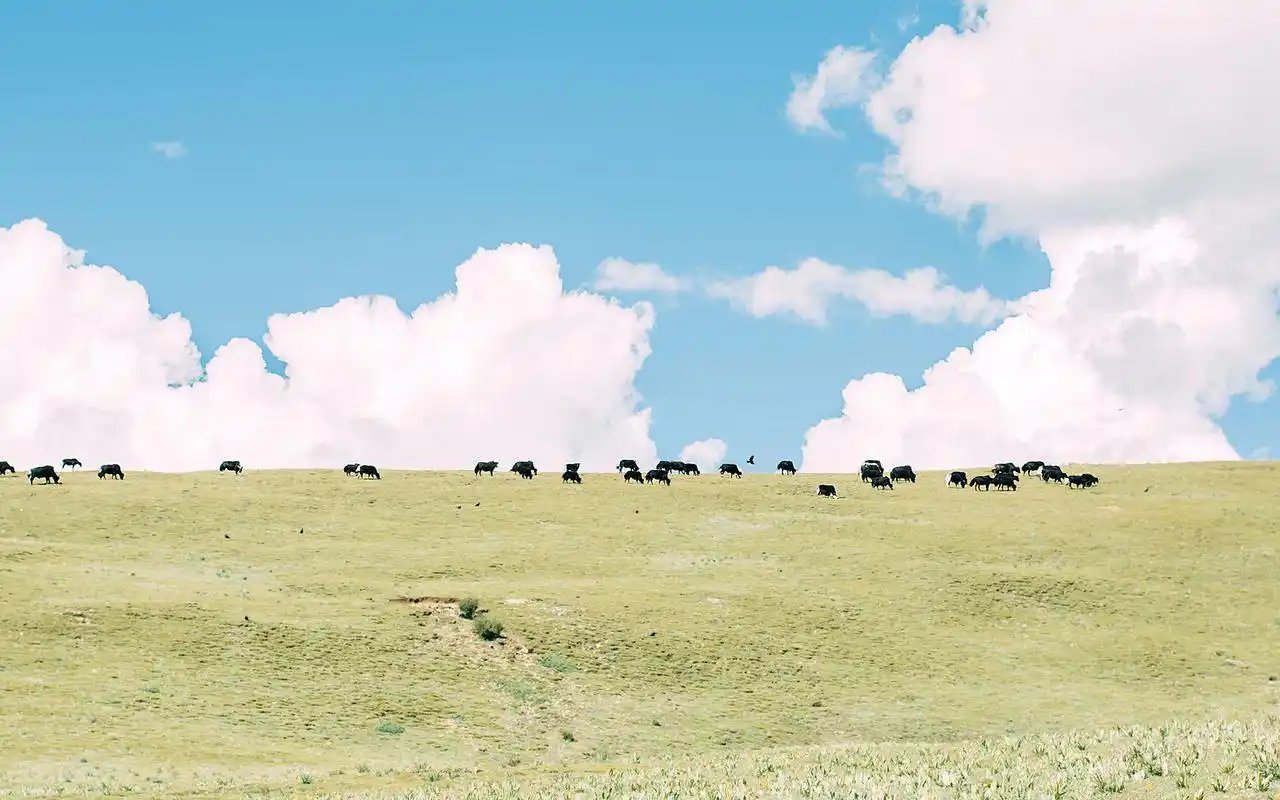 西藏小清新风景图片桌面壁纸