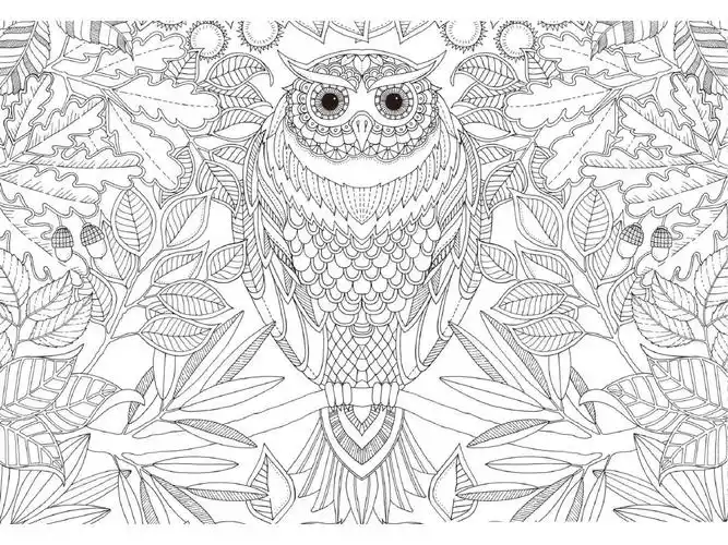 secret garden填色 打印版ppt