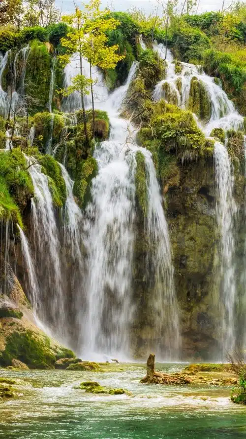 瀑布,树木,秋天 1080x1920 iphone 8/7/6/6s plus 壁纸,图片,背景