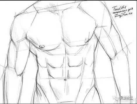 一大波男生的腹肌绘画参考!
