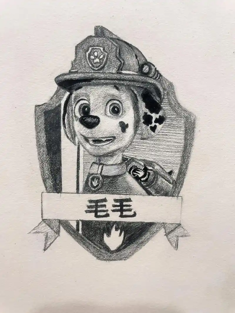 汪汪队毛毛#手绘#铅笔画#过程 #@你的好朋友 - 抖音