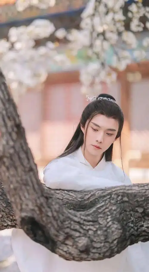 手机壁纸妖扬王敬轩