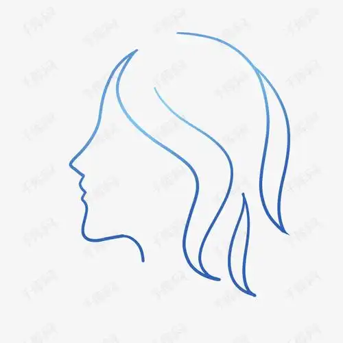 人体面部曲线
