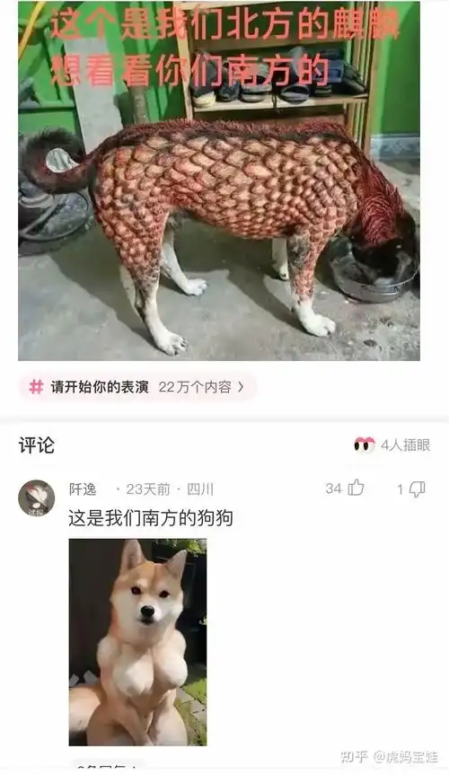 你有哪些能让人笑到肚子疼的搞笑图片?